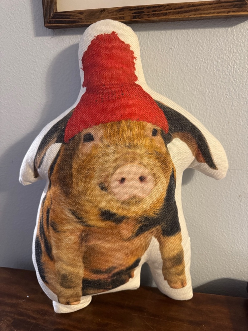 Farm Pig Canvas Throw Pillow Pom-Pom Hat Country Rustic